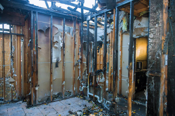 Professional Fire Damage Repair technician working in Newport, OH